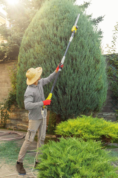 Lawn Irrigation Installation and Maintenance in Suncoast Estates, FL